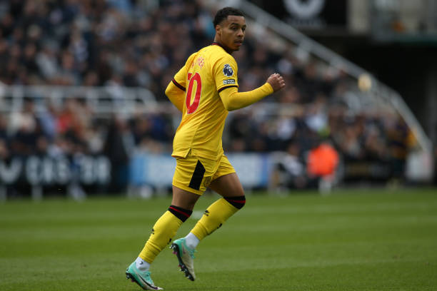 展望未来 展望未来